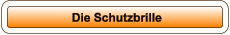 Die Schutzbrille
