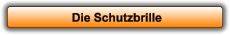 Die Schutzbrille