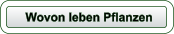Wovon leben Pflanzen