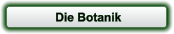Die Botanik