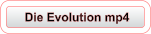 Die Evolution mp4